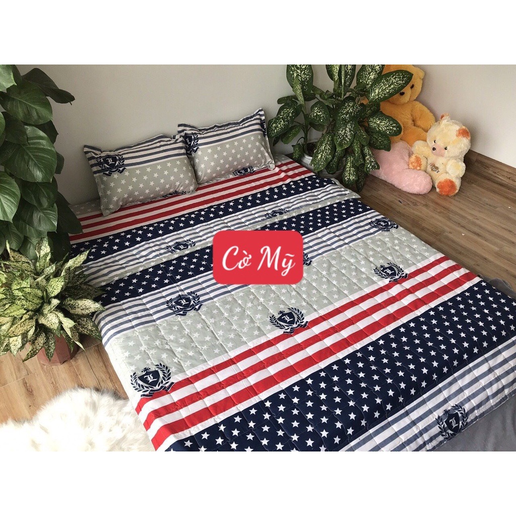 Bộ Ga Gối Poly 2mx2m2,có chọn mẫu,MẪU CỜ MỸ