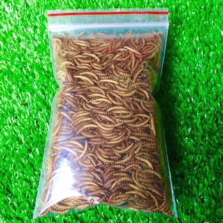 Sâu Sữa Trắng Rang Bơ