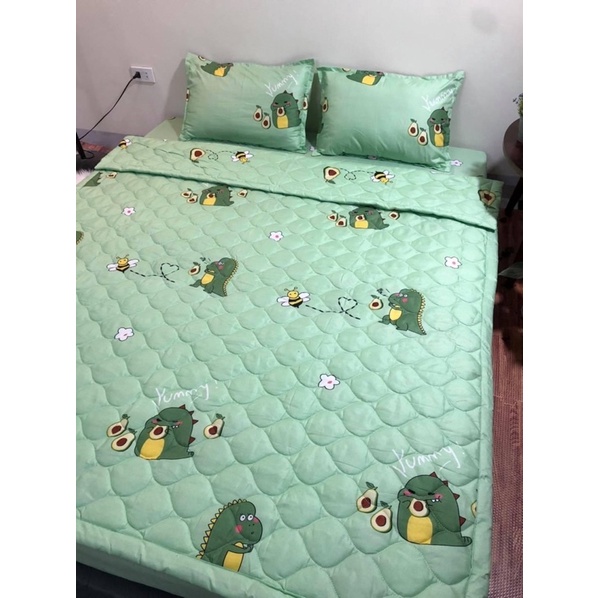 Bộ 5 Món Chăn Ga Gối Cotton Poly Cao Cấp Chăn hè Trần Bông 3 Lớp Hàng loại 1 gohomebedding