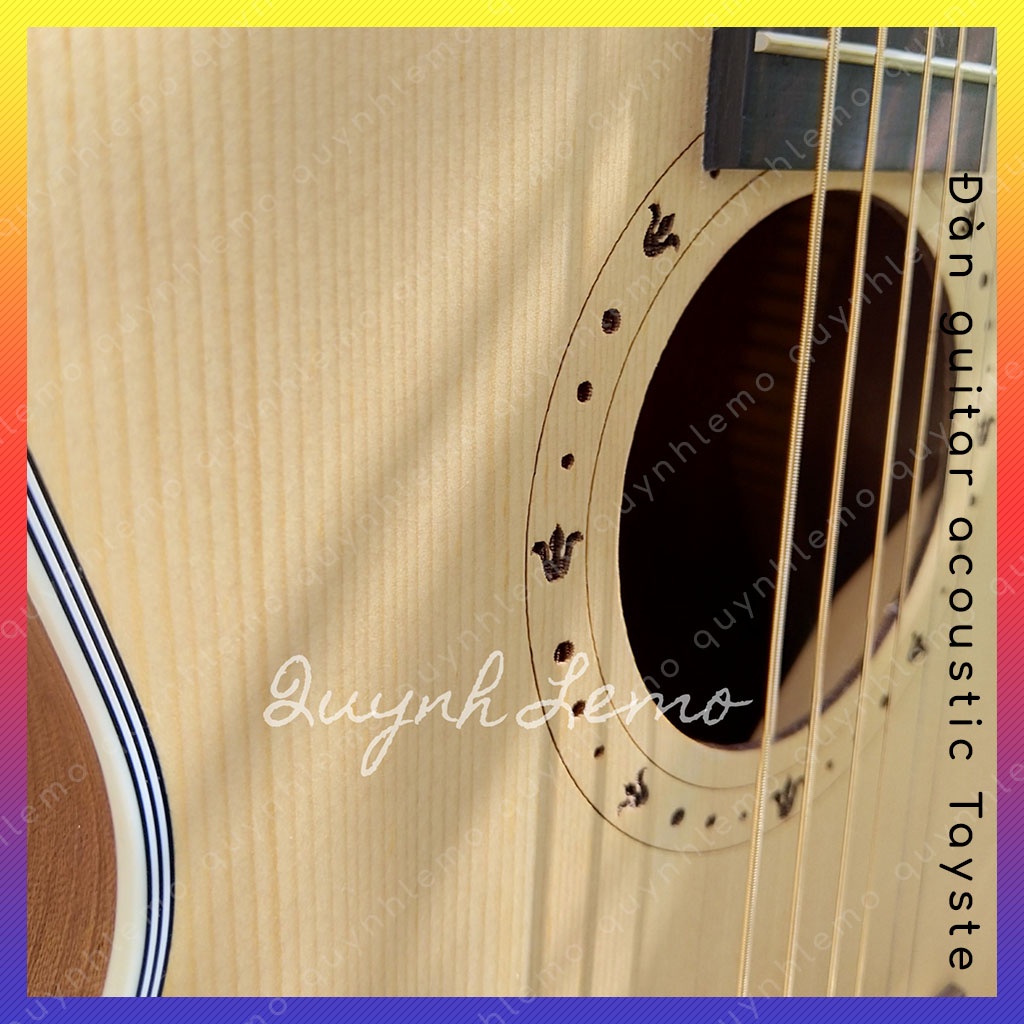 Đàn Guitar Mini 34 Inch TS-10-34C Tayste QUYNHLEMO, Guitar Acoustic TS-12-34C size 3/4 tặng capo đàn guitar