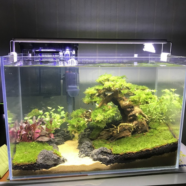 Đèn Aquarium Light 3 Chế Độ Màu 40cm Cho Bể Cá Cảnh, Bể Thủy Sinh 40cm