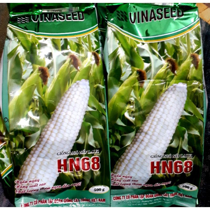 Hạt giống ngô nếp lai F1 HN68 gói 500g