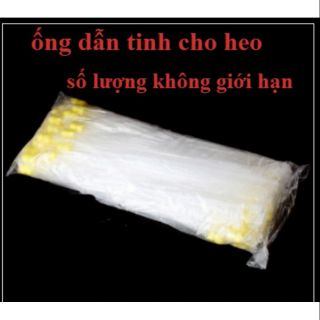 Que phối tinh heo nông đầu nhỏ