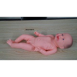 Mô hình em bé sơ sinh  - Mô hình chăm sóc em bé