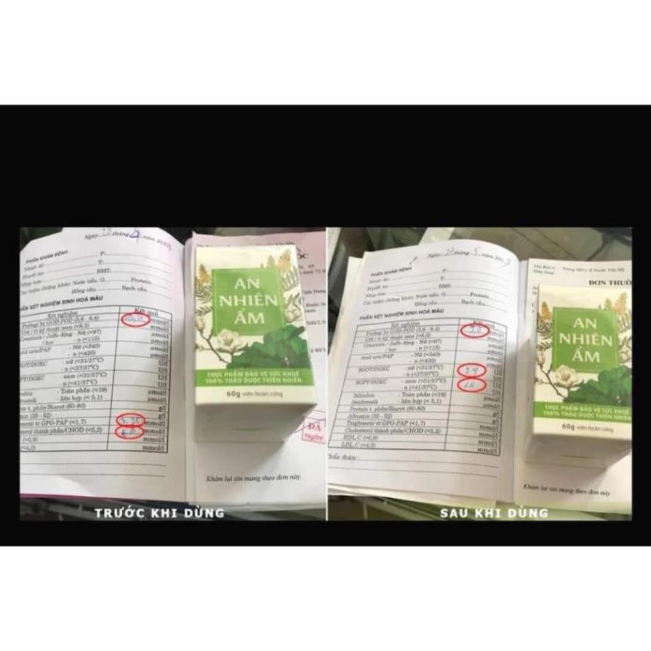 AN NHIÊN ẨM: Giảm Gan Nhiễn Mỡ, Máu Nhiễm Mỡ, Men Gan Cao, Guot, Thải Độc, Đông Dược Vũ Đức. | BigBuy360 - bigbuy360.vn