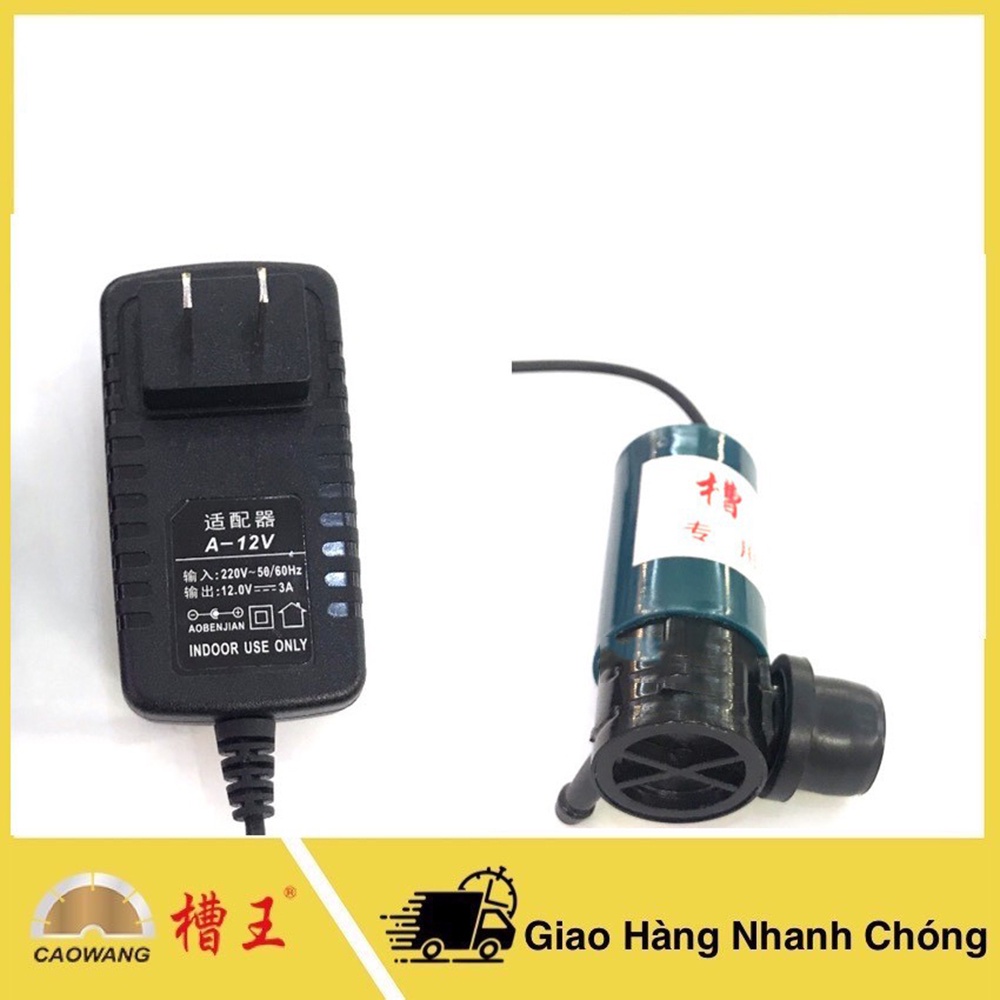 Bơm nước mini 12V Caowang - Hàng chính hãng