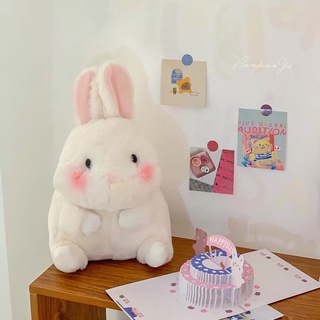 Thỏ bông dễ thương mập ú