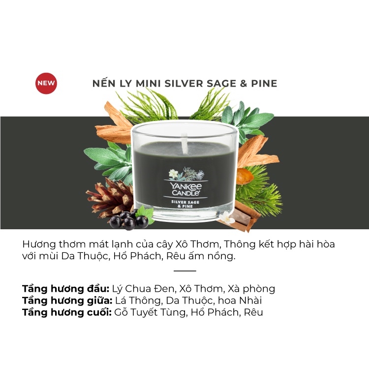 Nến ly mini Yankee Candle - Silver Sage &amp; Pine (37g)