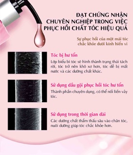 COMBO GỘI - DƯỠNG PHỤC HỒI GIÚP TÓC CHẮC KHỎE PARCO