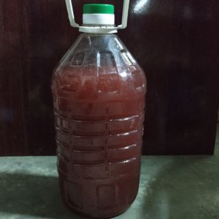 Vi khuẩn quang hợp PSB (5 lít)