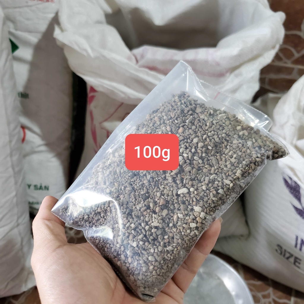 Đá pumice nhập khẩu siêu tốt sen đá và xuong rồng