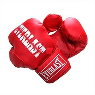 Găng tay Boxing Everlast người lớn