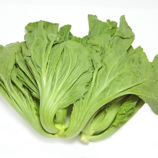 Cải bẹ dưa Cao sản