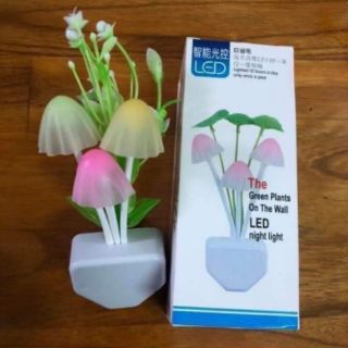 Đèn Ngủ Cảm Ứng