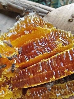 Mật Ong Rừng Chuẩn Xịn