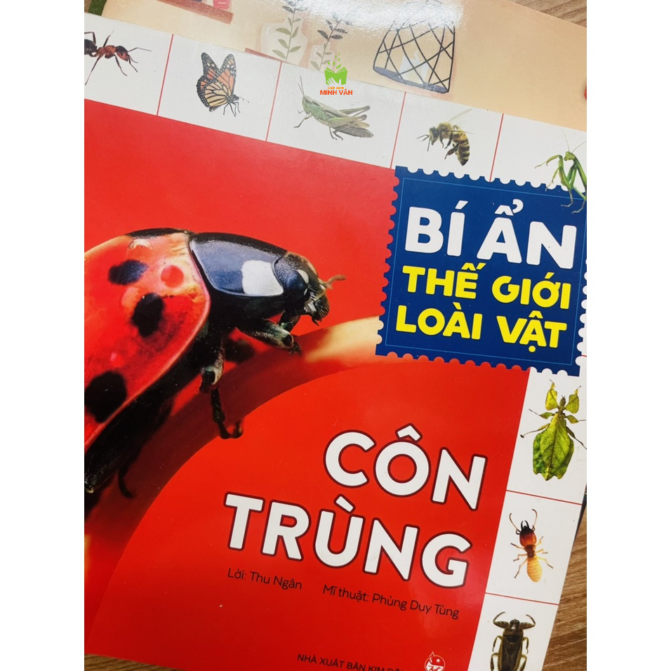 Sách – Bí Ẩn Thế Giới Loài Vật - Côn Trùng - Thú – Chim – Bò Sát &amp; Lưỡng Cư