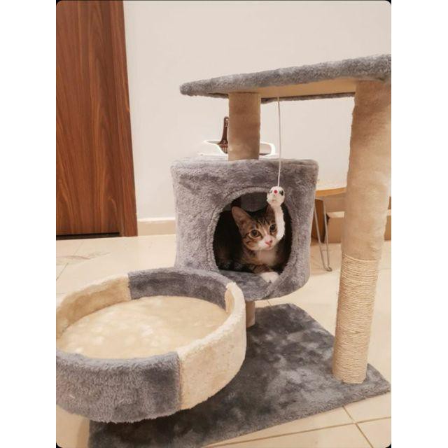 Nhà cây cho mèo -cat tree(6 màu sẵn)