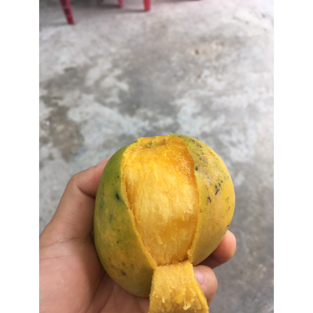XOÀI DẺO - 300G | BigBuy360 - bigbuy360.vn