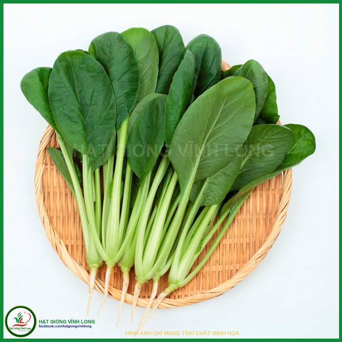 Hạt giống Cải ngọt Trang Nông - 20g