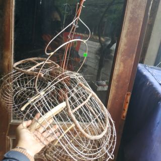 Bẫy chào mào 2 mặt Sài gòn