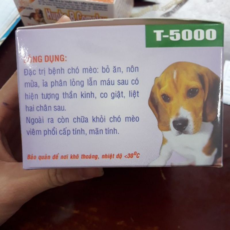 T5000 - cho chó mèo tiêu chảy, nôn ói