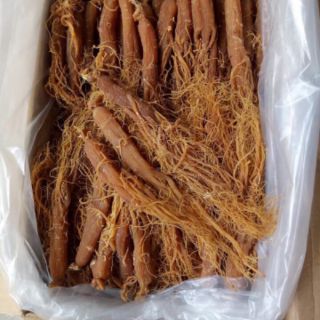 HỒNG SÂM HÀN QUỐC 100G size 3-4 củ 1 lạng