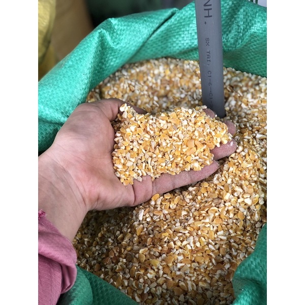 Hạt bắp  bể cho gà,chim,vẹt , bồ câu , cu,gáy...1kg.