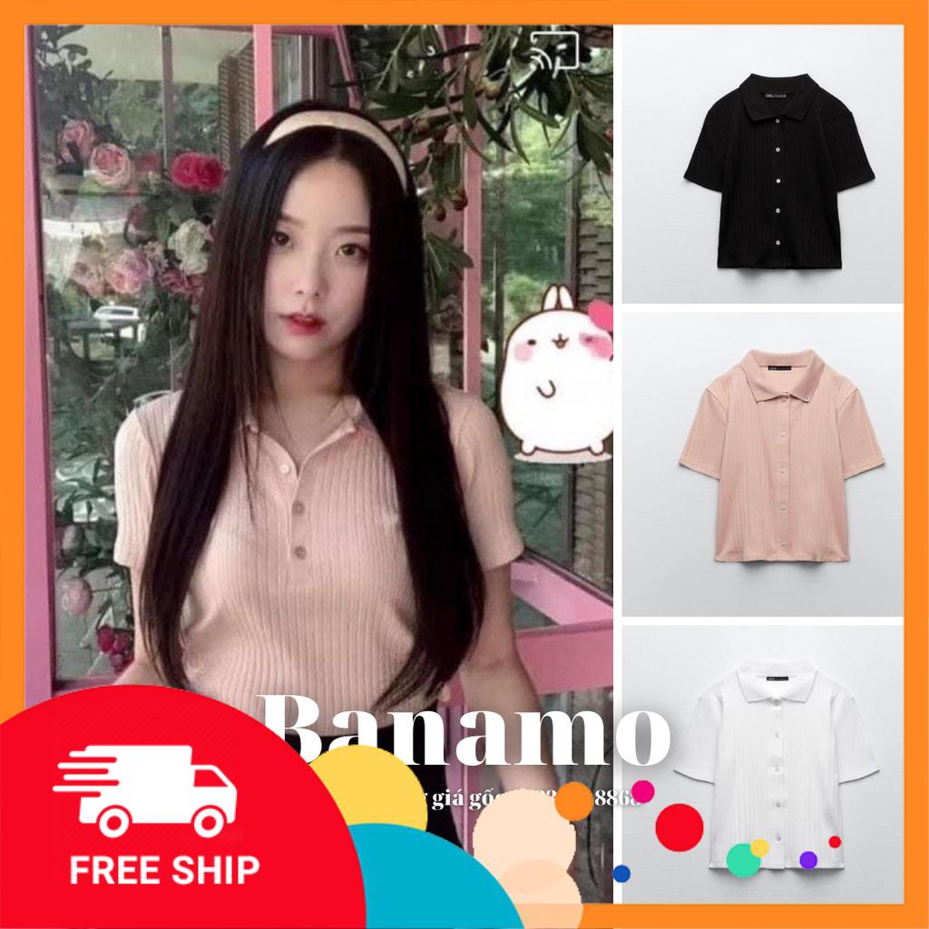 Áo polo 3 màu chất thun tăm siêu đẹp thời trang Banamo Fashion Cộc polo tăm to 3 màu 3413