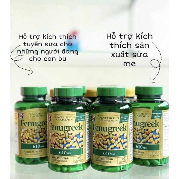 Cỏ lợi sữa Fenugreek 610mg Uk Anh Quốc