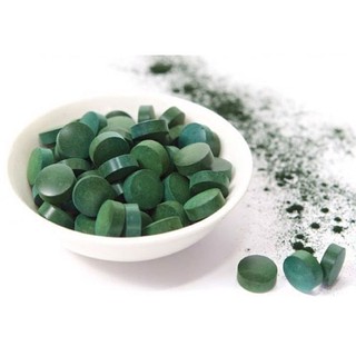 Tảo viên - thức ăn cá, tép cảnh - nuôi bobo, artemia - 50 viên