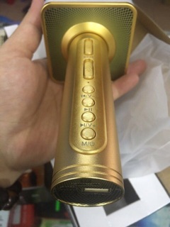 Mic SD 08 ( hàng thật ảnh thật )