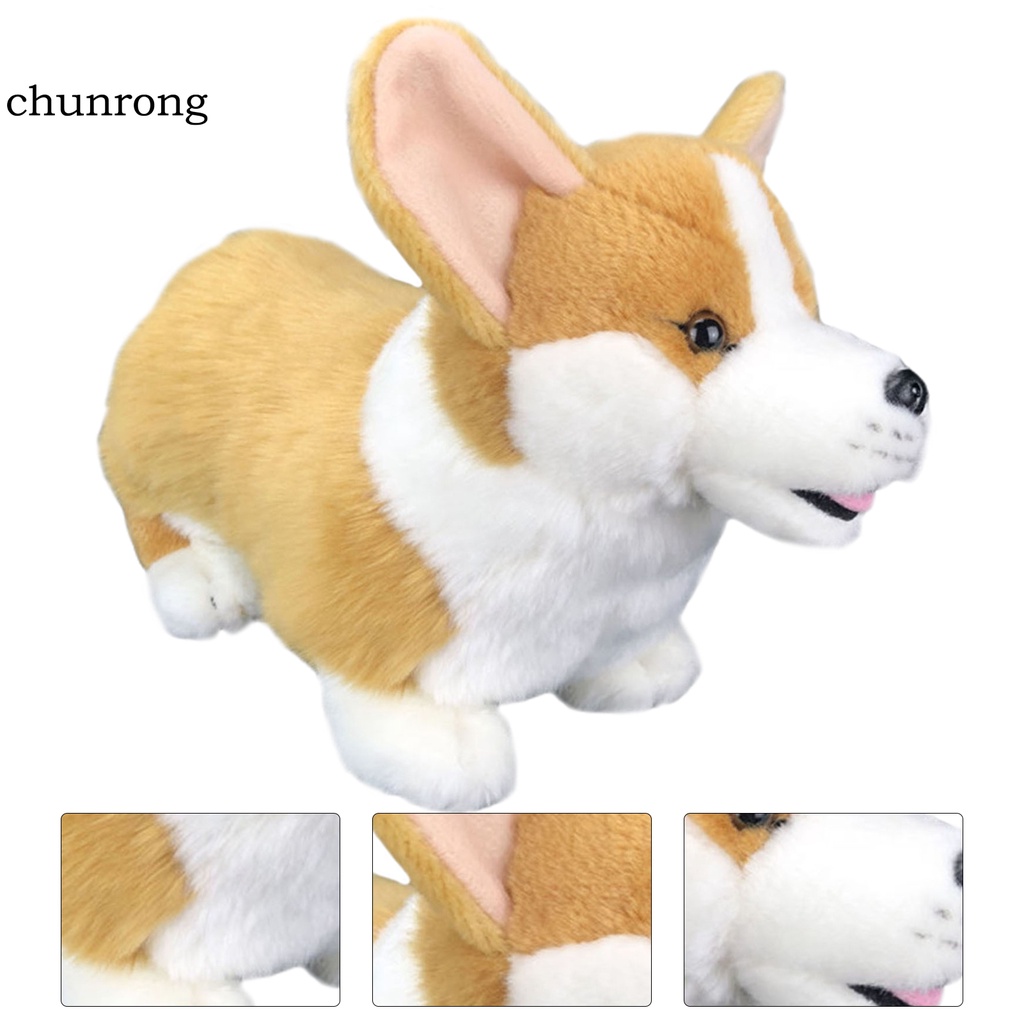 Thú nhồi bông hình chú chó corgi đáng yêu