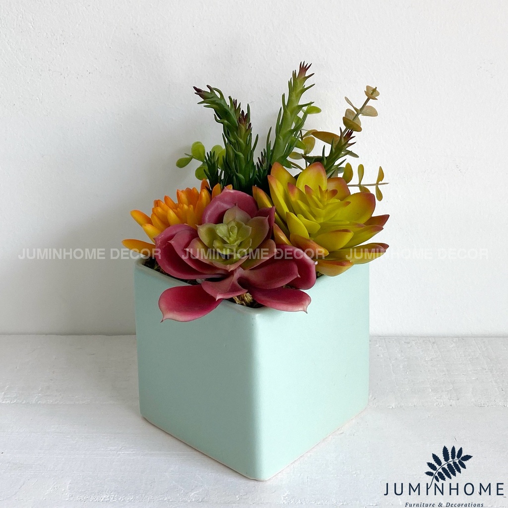 Cây giả Decor - Chậu sen đá vuông Decor trang trí để bàn