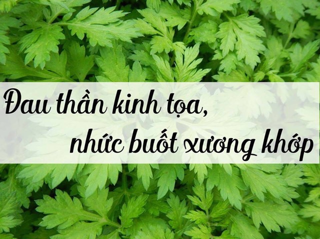 1kg ngải cứu khô