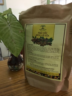 Ngũ cốc lợi sữa Queen nature