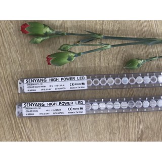 Combo 20 Led Luxeon 1W SenYang, không đế