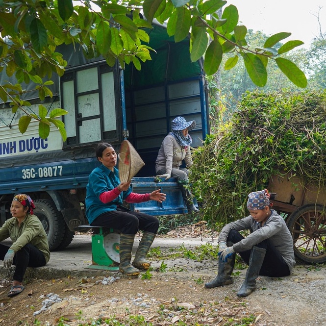 Xà Bông Sinh Dược Thiên Nhiên Mướp Đắng Nghệ Mật Ong, Xà Bông Mướp Đắng Sáng Da Giảm Thâm Giảm Mụn Lưng