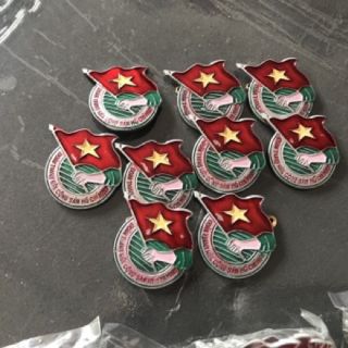 Huy Hiệu Đoàn Việt Nam