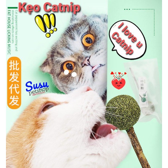 Kẹo que Catnip cho mèo