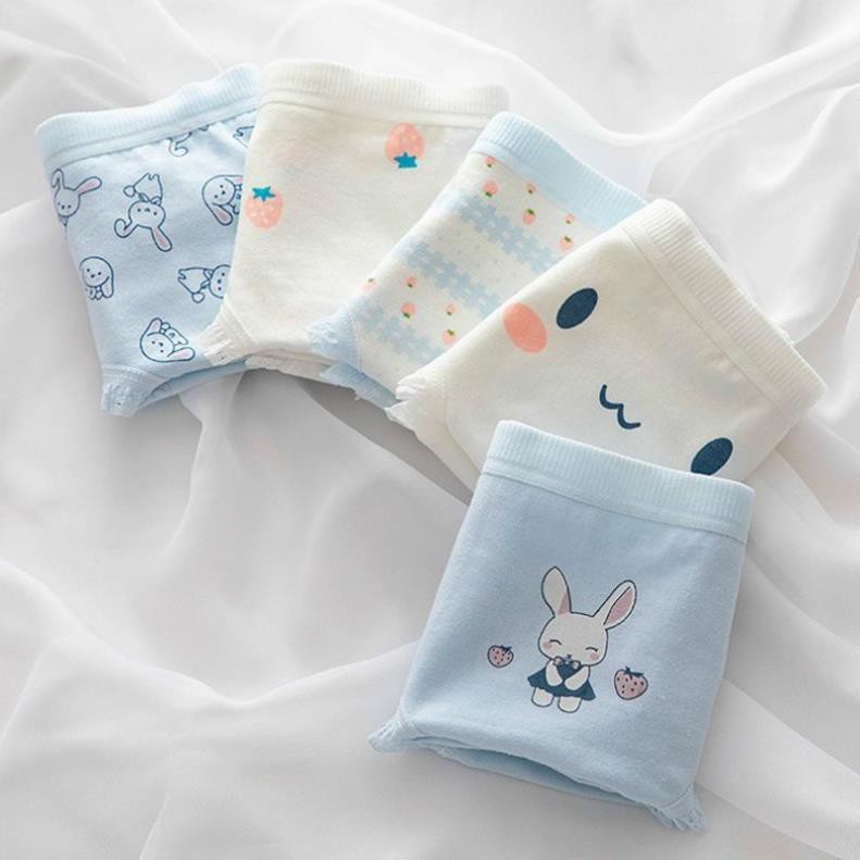 Quần Lót Nữ Cotton Hoạ Tiết Thỏ - Dâu Tây Dễ Thương Mã 8015,.,.t