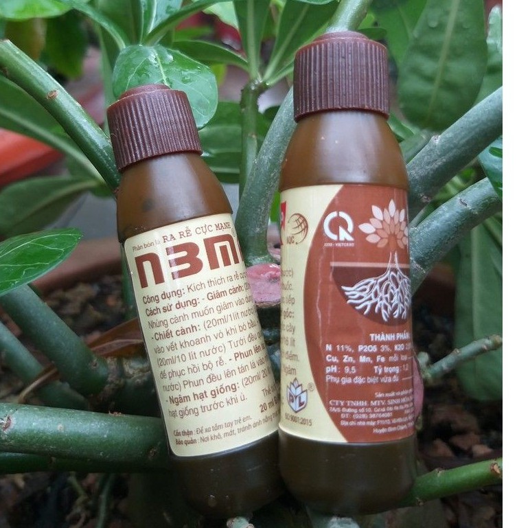 Kích Rễ N3M PRO dạng nước (20ml) - Kích thích ra rễ