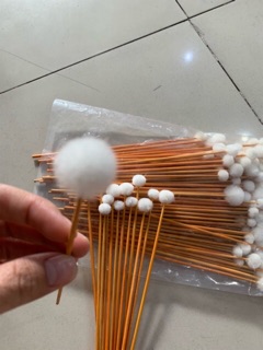 Sỉ 100 cây bông se tai lông vịt