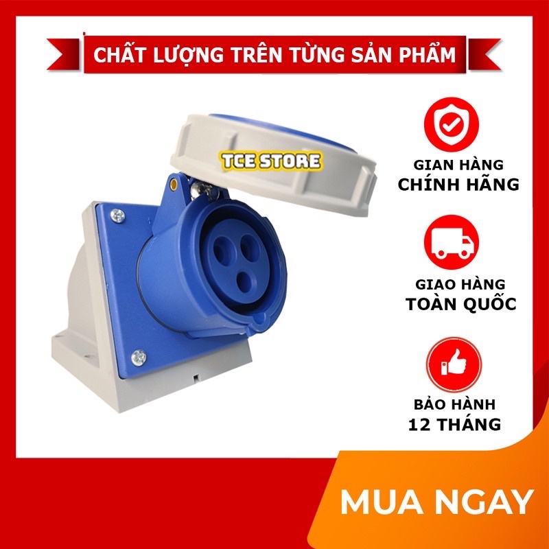 Ổ cắm công nghiệp gắn tường 1 pha 3 chấu 16A IP67