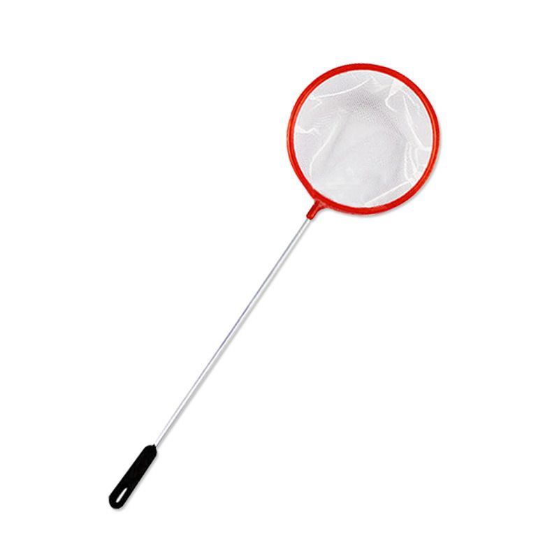 Vợt cá cảnh, cá betta, guppy