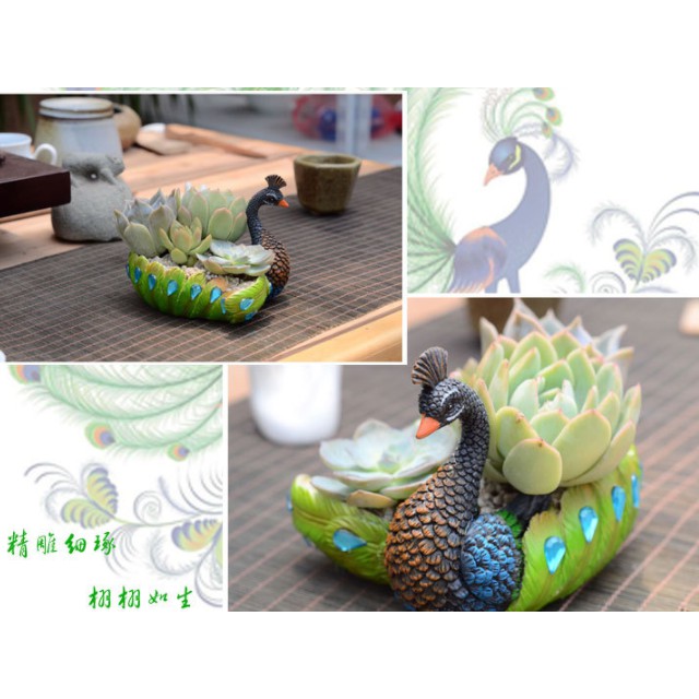 Chậu trồng cây mini hình chim công