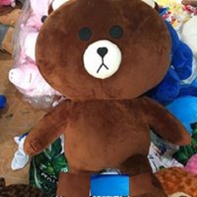 gấu bông 3d gấu brown kích thước 35cm đến 100cm
