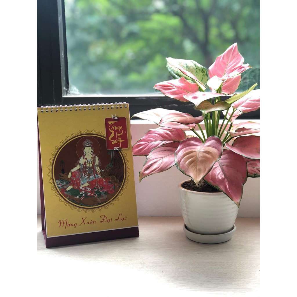 Lịch Trong Suốt 2021 Tết Tân Sửu - Lịch Phật để bàn 3 trong 1: Bình An - Truyền Cảm Hứng - Từ Thiện | BigBuy360 - bigbuy360.vn