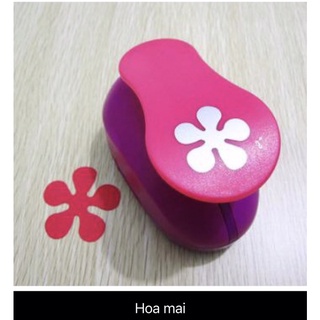 Dập hoa trợ lực