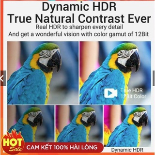 Dây tín hiệu HDMI arigatoo 10m