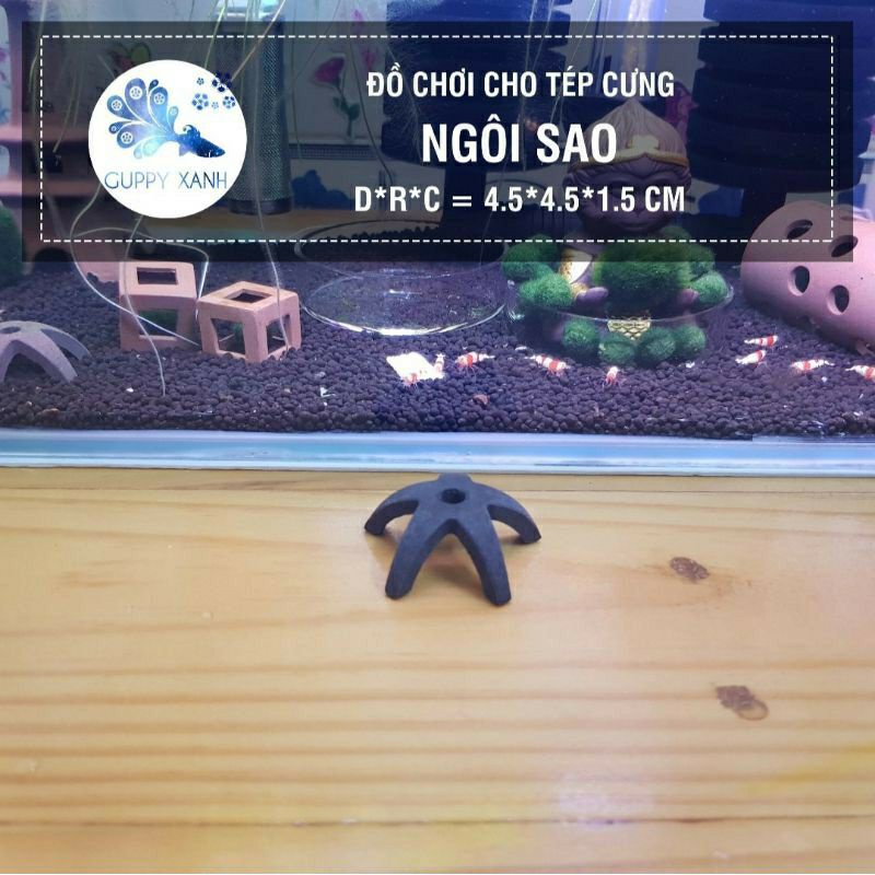 Ống Khối - Ô Tròn - Thanh Tròn - Đồ chơi cho tép - Gốm nung trang trí cho thủy sinh - Hồ Cá